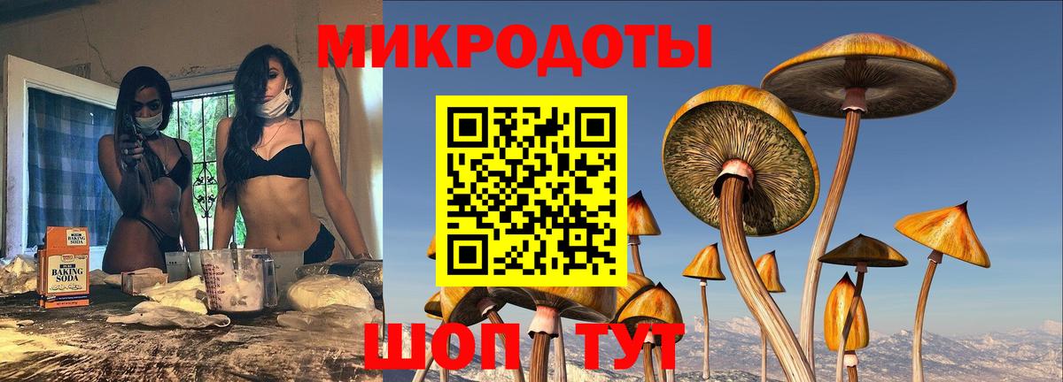 Галлюциногенные грибы Psilocybe  Вход с VPN  Великий Устюг 